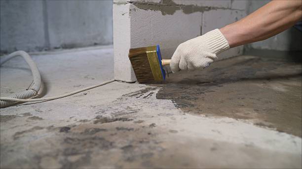 24/7 Emergency Exterior Waterproofing experts in Pelham, AL